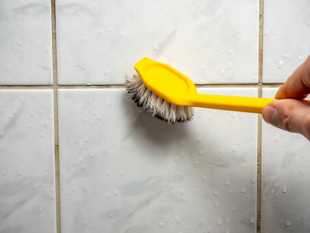 Best Health and Safety Mold Remediation in Mcmechen, WV