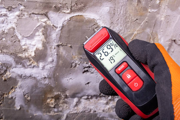 Mcmechen, WV Mold Remediation Company